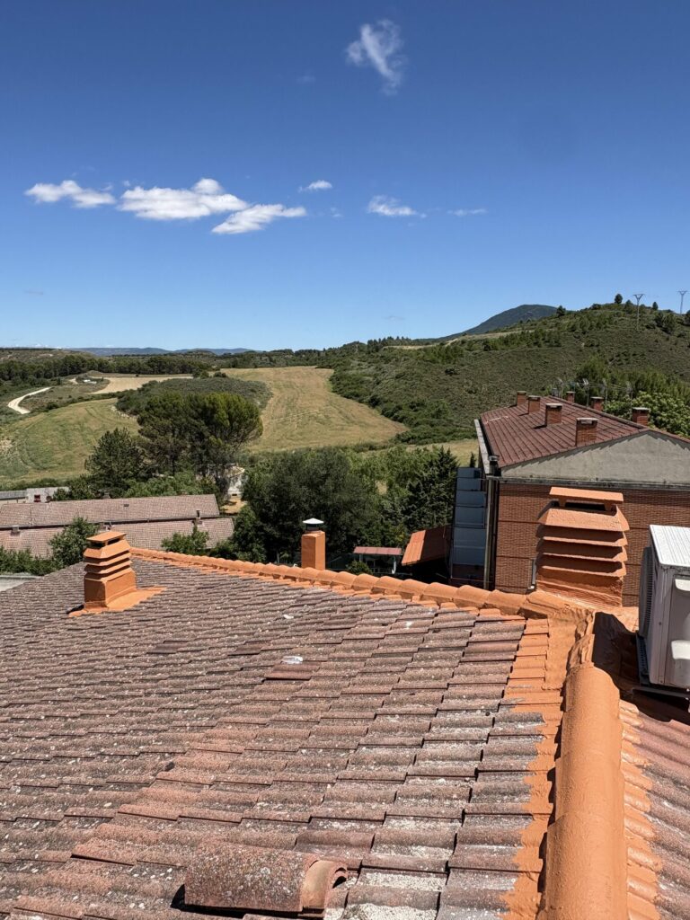 Tejado de teja curva retejado y chimeneas rematadas en Cáseda, Navarra